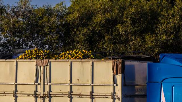 These compounding issues aren't just bad news for farmers and consumers.