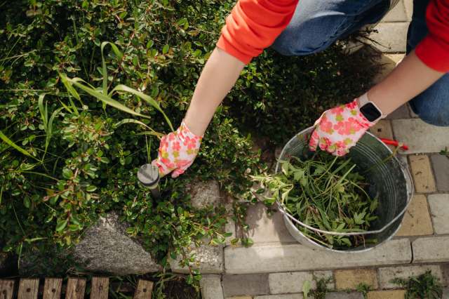 "This is why I hate weeding."