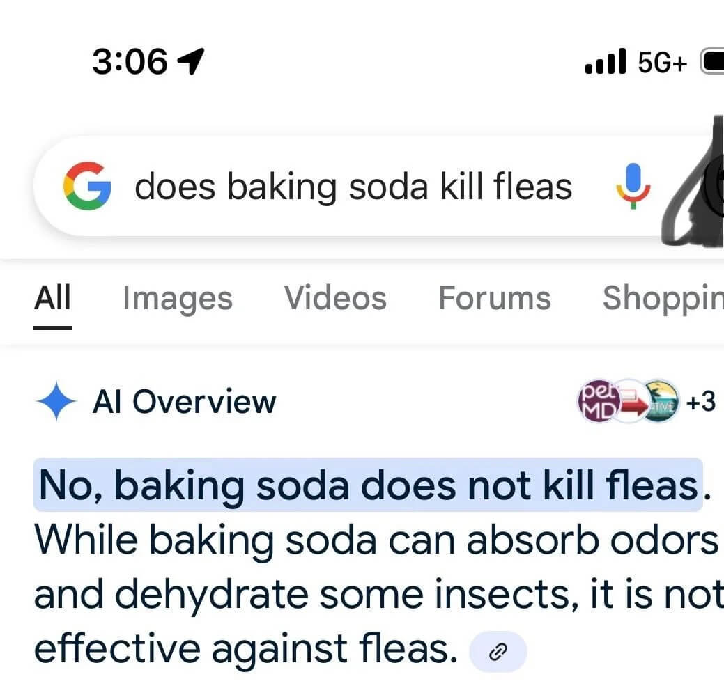 "And they said AI is smarter than humans."