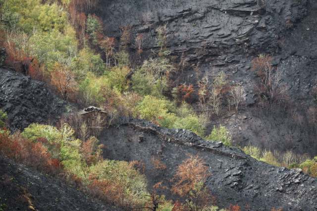 The village is located in a region known for its lush forests.