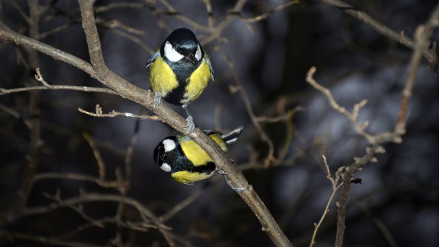 The results revealed a stark contrast.