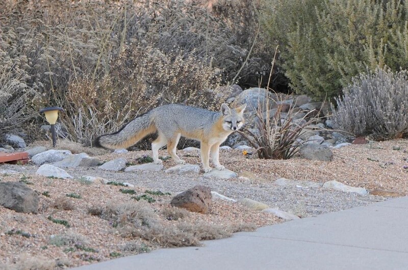 "Now I want to visit New Mexico!"