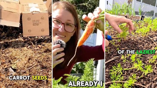 "It all has to do with spacing."