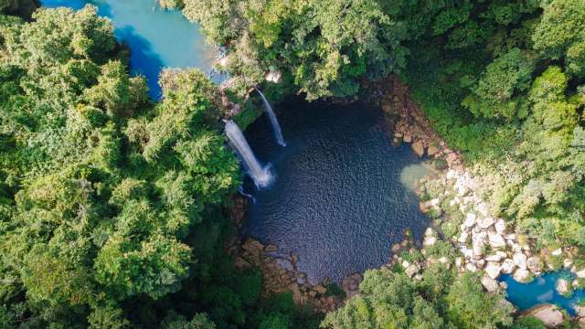 "For many years, the scientific community considered it an extinct species in Mexico."