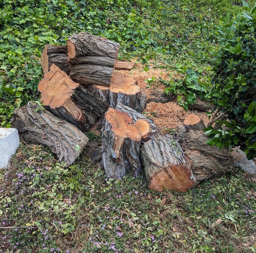 "We lost our curb appeal."