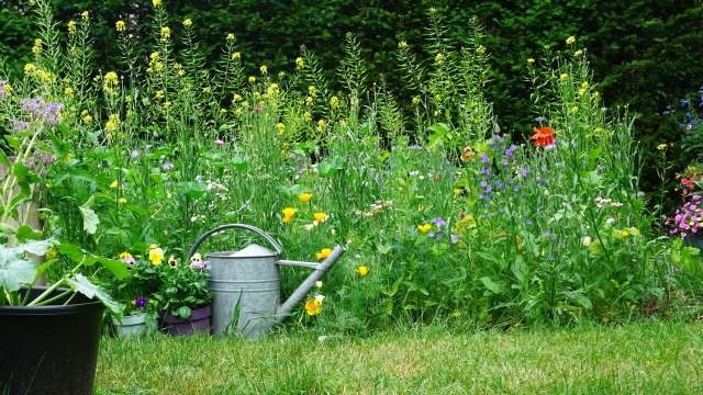 The Reddit community was fairly united in their frustration.