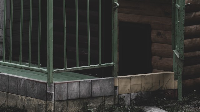 Keeping a wild animal as a pet can be problematic for several ethical and environmental reasons.