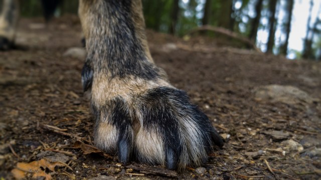 "They’ve shown amazing resilience."