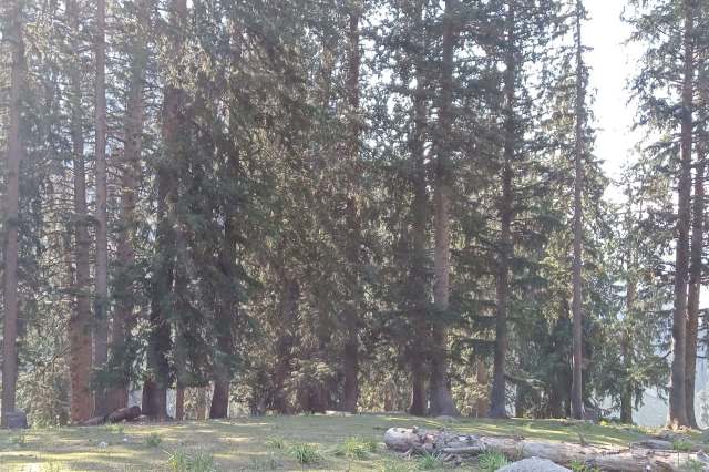 An investigation is underway to identify others involved.