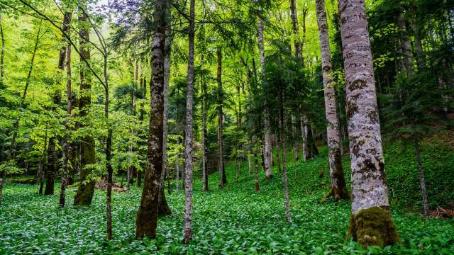 The environmental toll is even more tremendous.