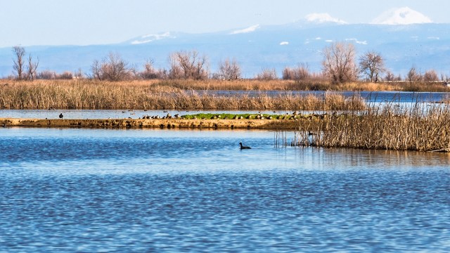 Their presence has not been taken lightly.