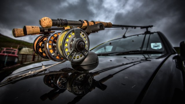 "Overharvesting has serious consequences."