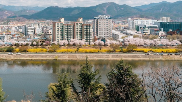 "The same incident occurred again a month later."