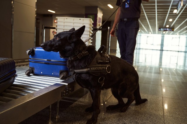 The trial stems from a 2023 incident.