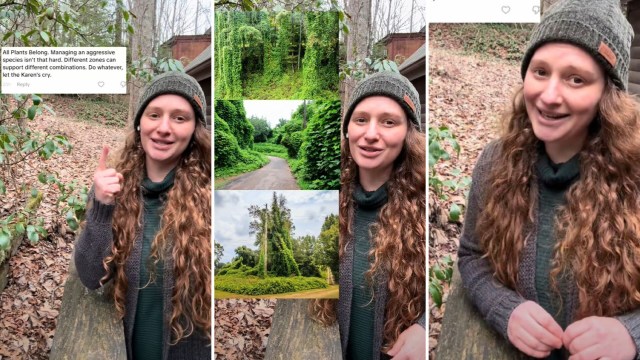 Choosing to grow native plants will almost always be the right call.