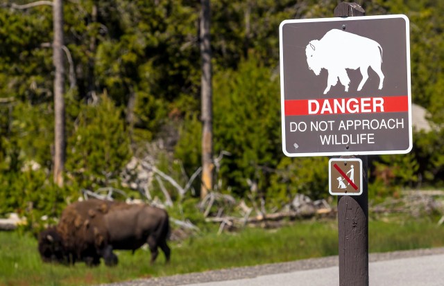 "More people need to see this and learn."