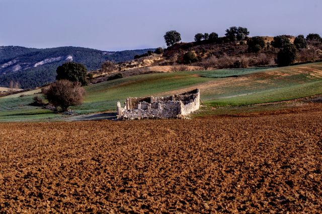 "It's raining too much."