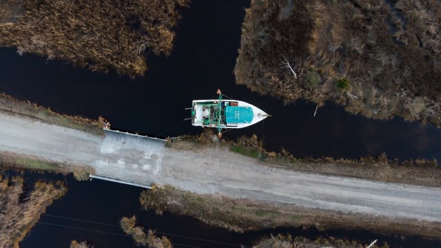 The issue could impact the food supply.