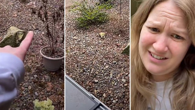 "Why do people insist on burying trash in their yard?"