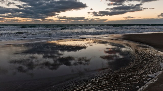 The Sea Turtle Preservation Society has recorded 141 stranded turtles this year.