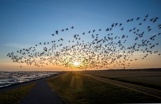 It could upset the delicate balance.