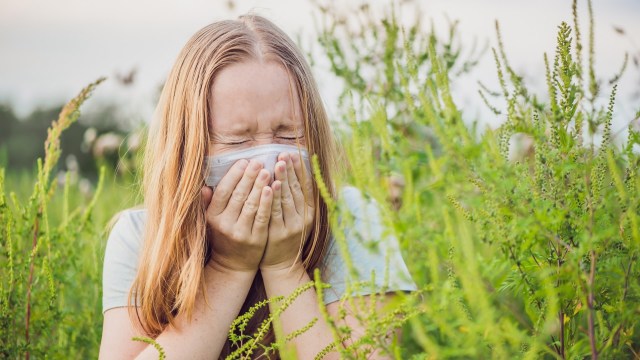 "Even if we have an 'average' season, we could easily see a few-day period of some extreme pollen."