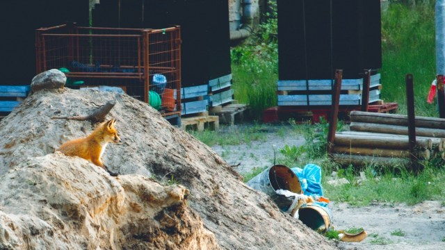 "Together, we can shape a brighter future for wildlife."