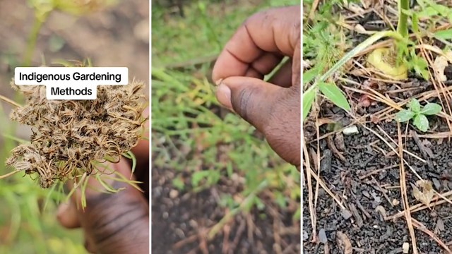 "Sir, you have come through again."