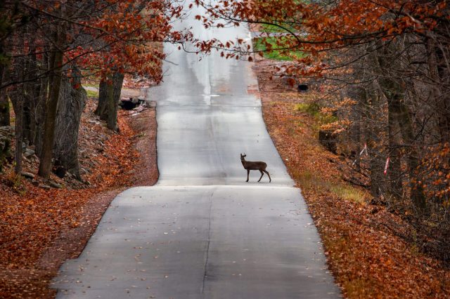 "I love her so much."