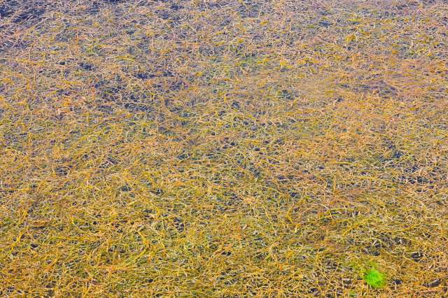 These initiatives are vital.