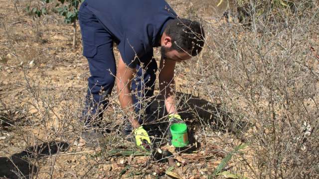 "We cannot rehabilitate unless we get rid of the invasive species."
