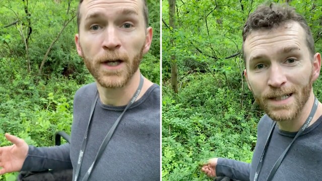 "It’s completely overtaken the understory."