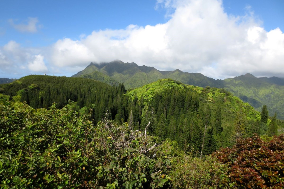 "Expanding these efforts would further enhance water security for the island."