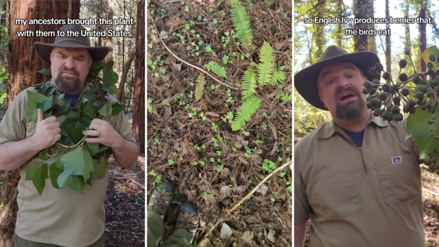 "I wish that the average garden store took more responsibility."