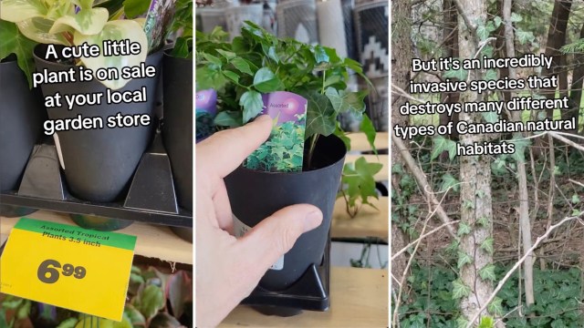 "I'm getting more and more furious."