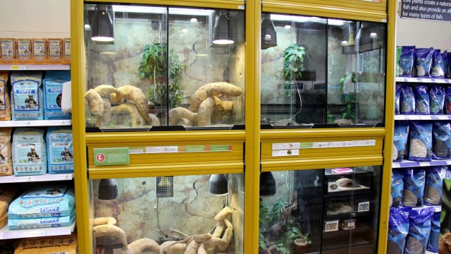 "These proposals reflect our deeply held belief that compassion is a virtue that must be reflected in both our values and our laws."