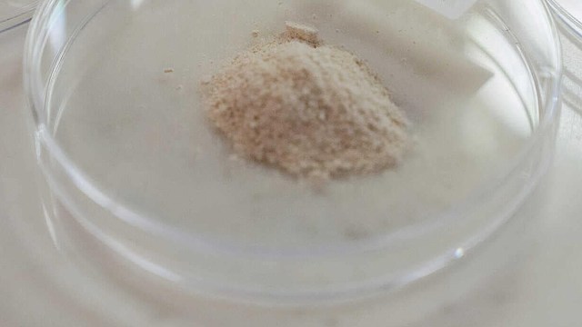 This patented formulation isn't just theoretical — it's been put to the test.