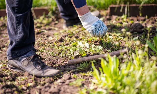 "I’ve seen it time and time again."