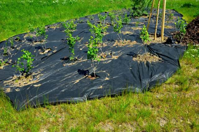 Landscaping material is often made with a polyester material used to manage the growth of weeds.