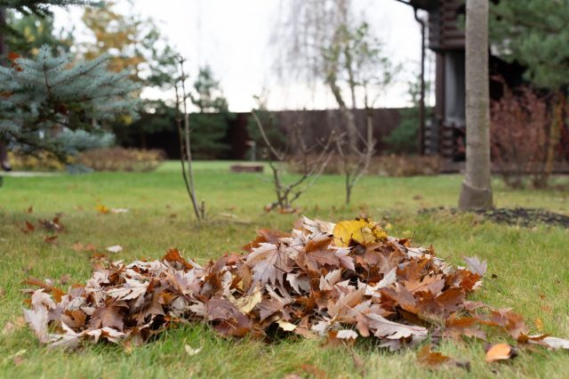 "People’s hatred of nature is so bizarre to me."