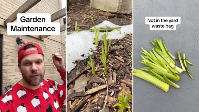 "It takes many attempts and a variety of strategies to get the job done right."