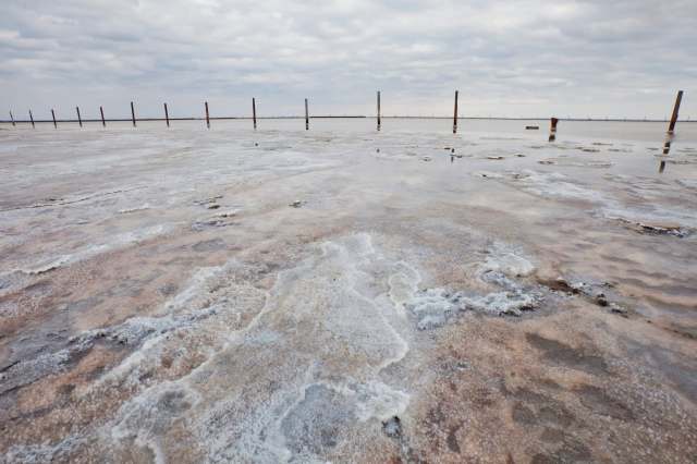 The team is working to establish a company to commercialize the tech.