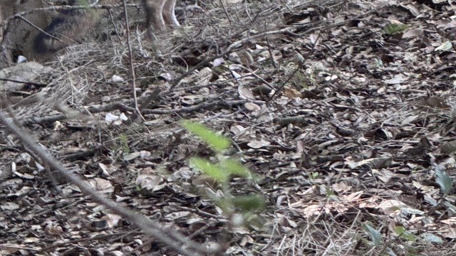 "She’s so beautiful."