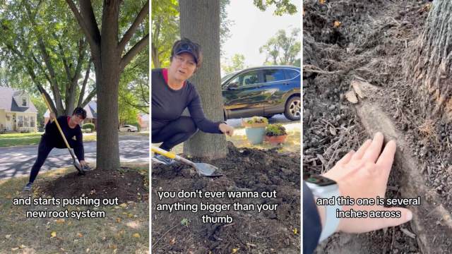 Unfortunately, this harmful practice has become fashionable.