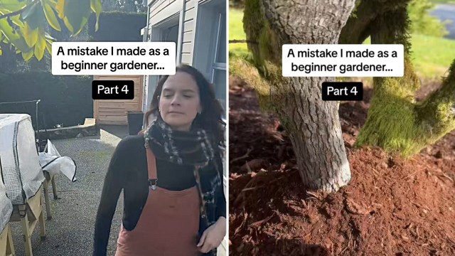 "These are amazing tips!"