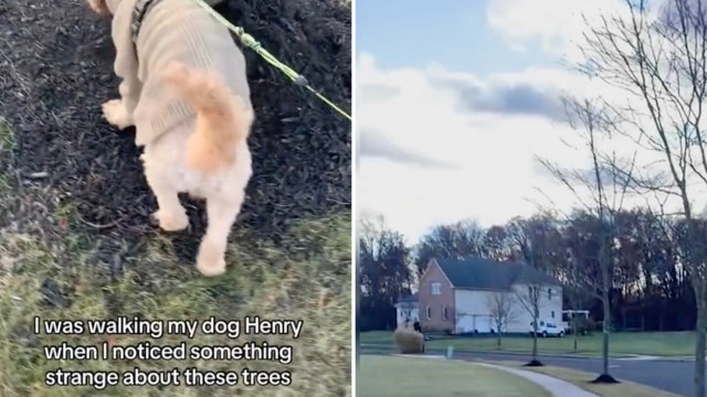 "[They] don't allow for air circulation."