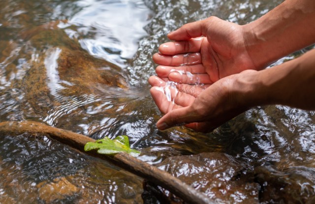 "The only limitation is that it needs someone to take advantage of these abundant resources."