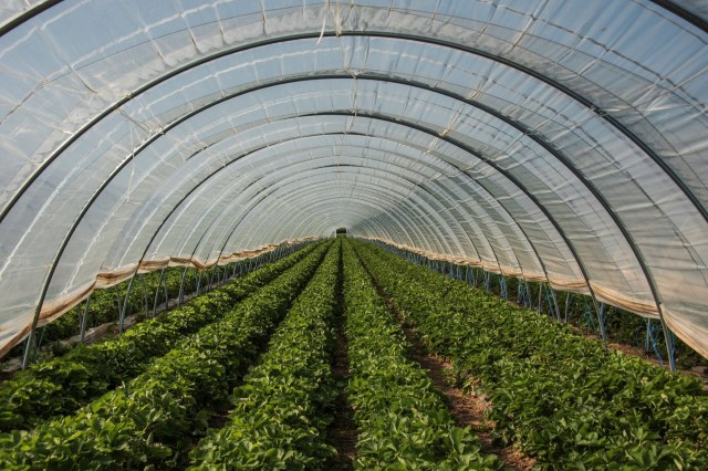 This research is crucial for lowering food costs.