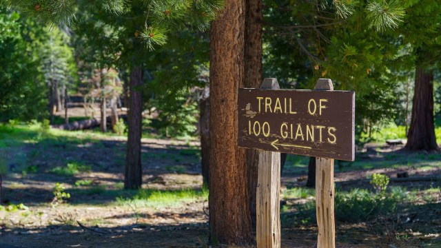 "The federal government still has to comply with federal law even if the president doesn't want to."