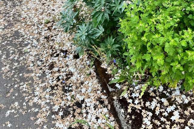 "This makes me very excited for the possibilities!"